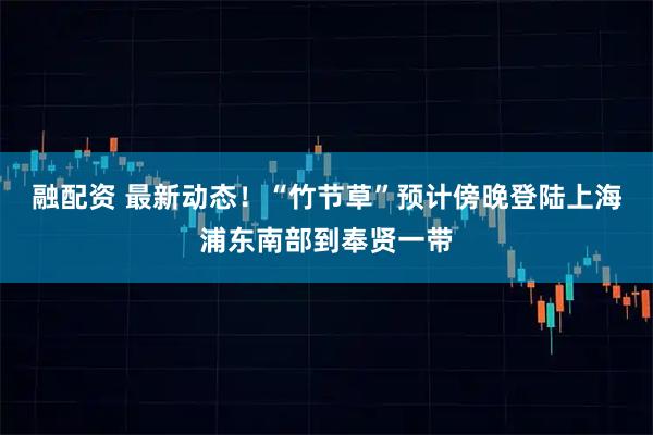 融配资 最新动态！“竹节草”预计傍晚登陆上海浦东南部到奉贤一带