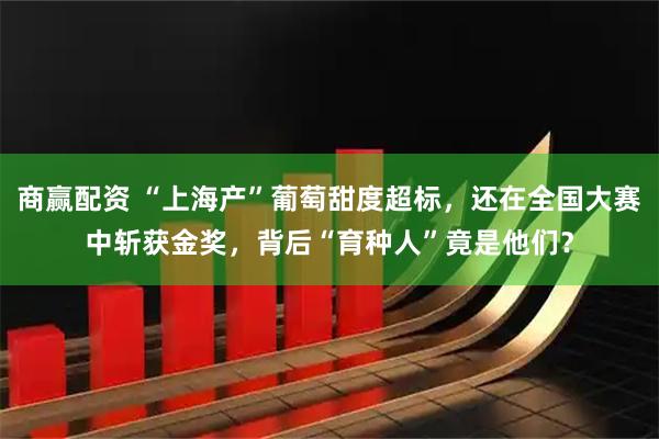 商赢配资 “上海产”葡萄甜度超标，还在全国大赛中斩获金奖，背后“育种人”竟是他们？