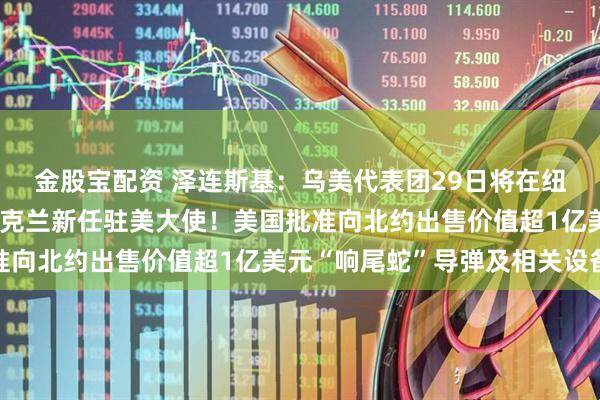金股宝配资 泽连斯基：乌美代表团29日将在纽约会晤！她被任命为乌克兰新任驻美大使！美国批准向北约出售价值超1亿美元“响尾蛇”导弹及相关设备