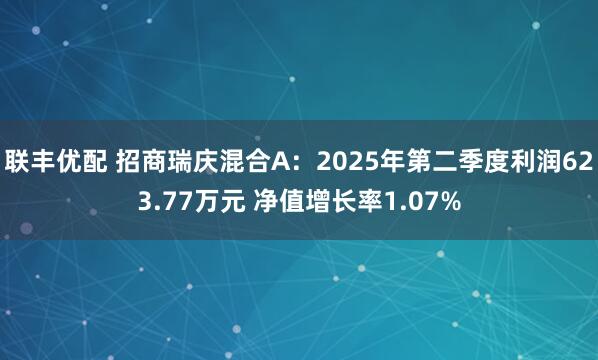 联丰优配 招商瑞庆混合A：2025年第二季度利润623.77万元 净值增长率1.07%