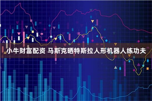 小牛财富配资 马斯克晒特斯拉人形机器人练功夫
