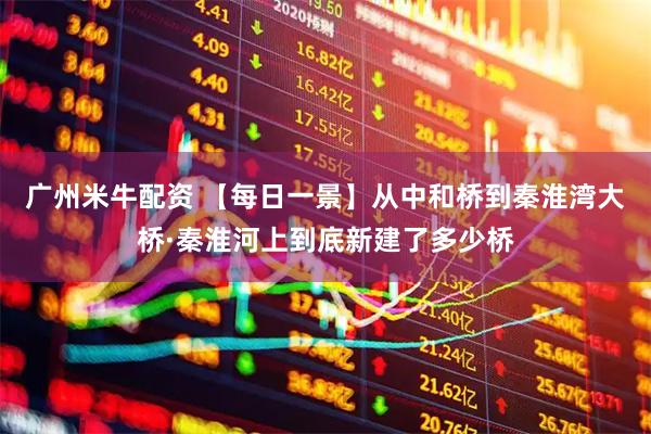 广州米牛配资 【每日一景】从中和桥到秦淮湾大桥·秦淮河上到底新建了多少桥